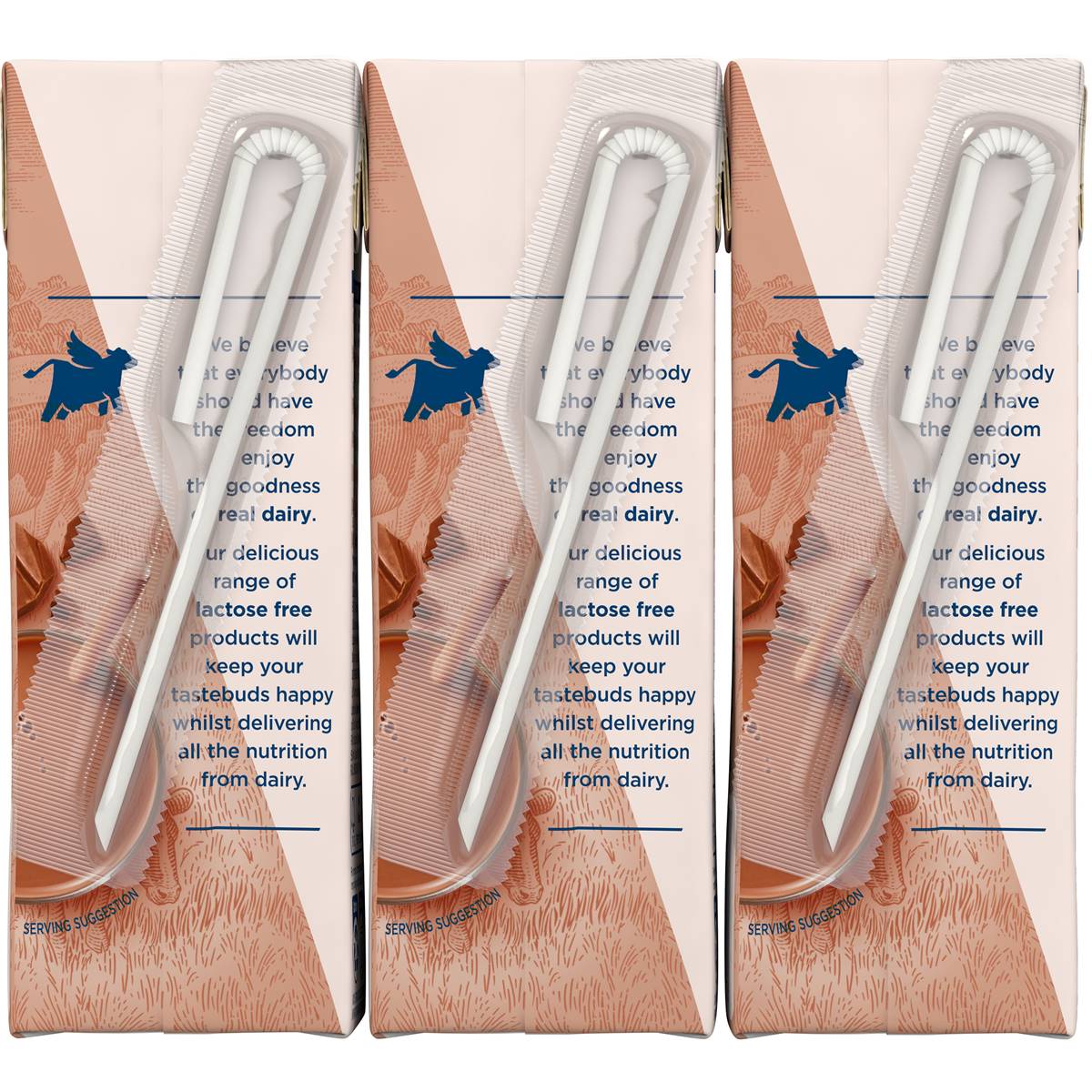 Liddells Lactose Free Chocolate Milk Long Life Uht Milk 250ml X 3 Pack