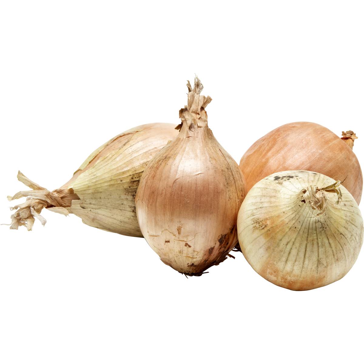 The Odd Bunch Brown Onion