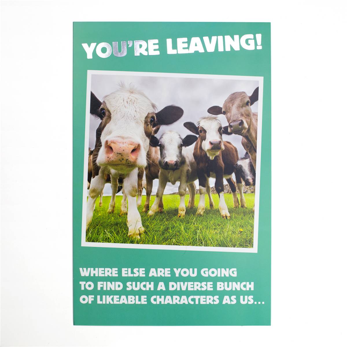 John Sands Large Funny You're Leaving Card