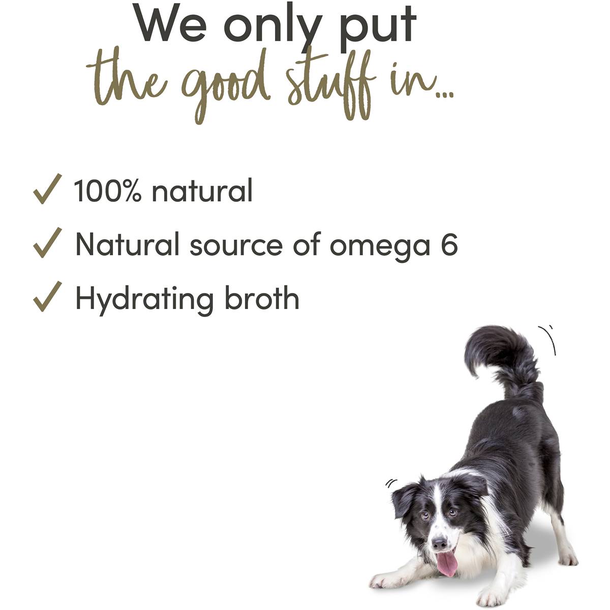 Applaws Dog Tins Cuisine Selection 5 Pack Woolworths