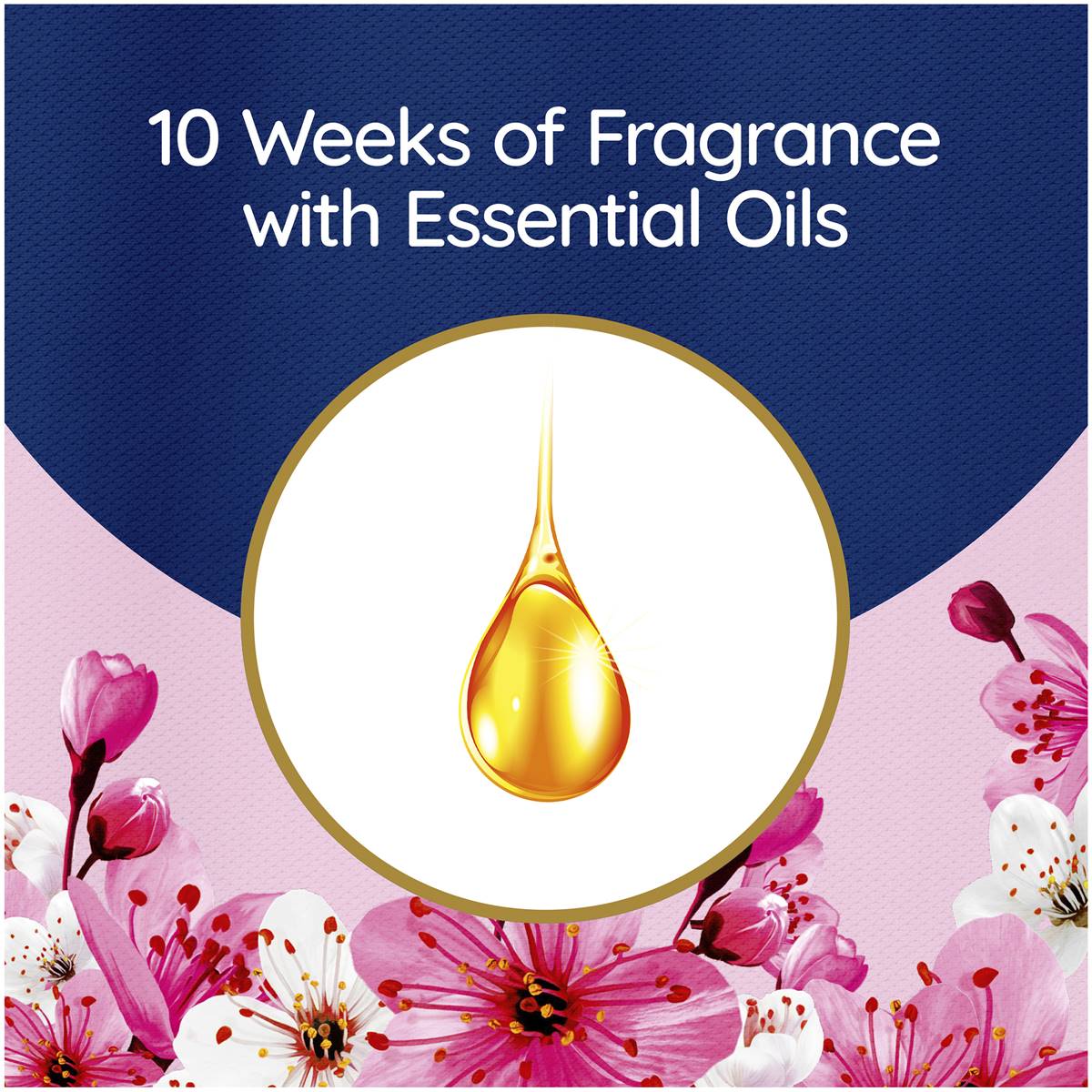 Cuddly Ultra Fabric Softener Japanese Cherry Blossom 900ml Woolworths