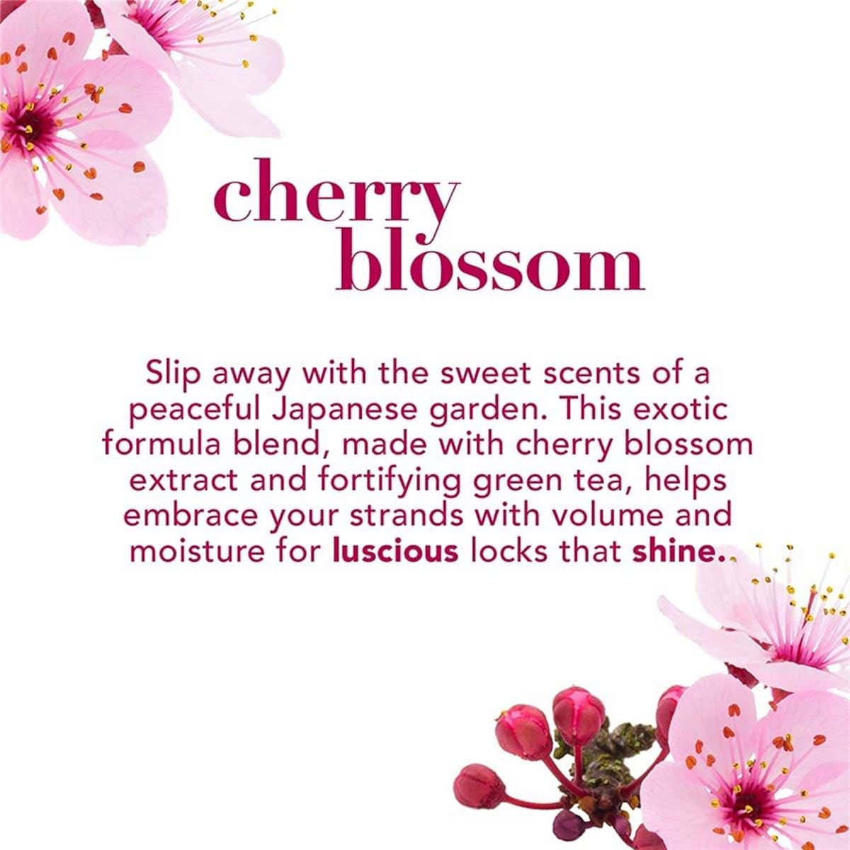 Ogx Cherry Blossom Conditioner For Thin & Fine Hair 385ml Woolworths