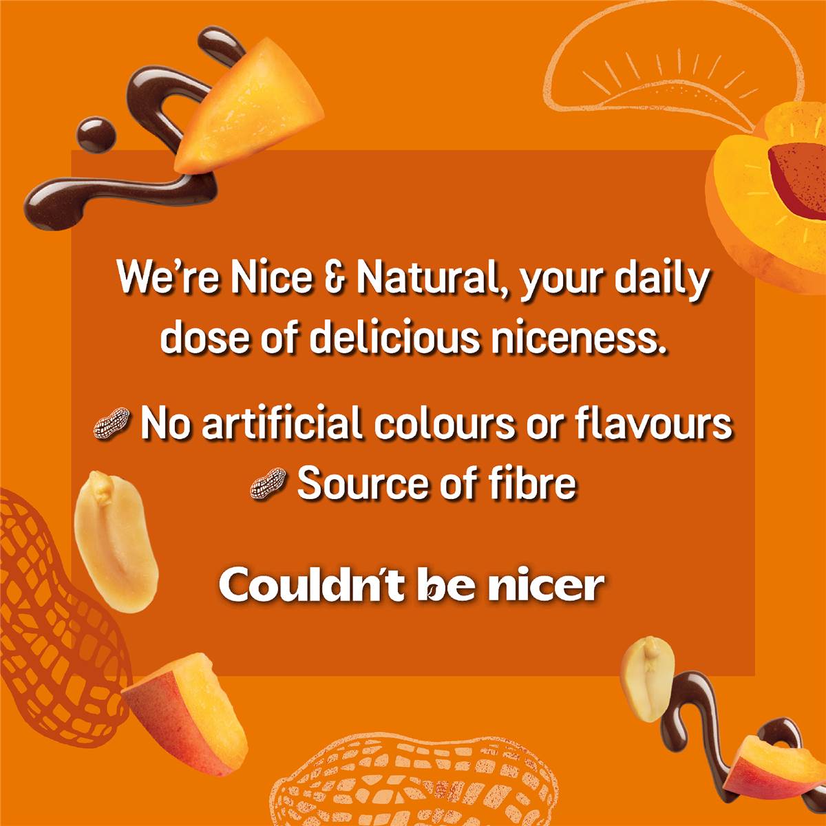 Nice & Natural Chocolate Nut Bar Apricot 180g X6 Pack Woolworths