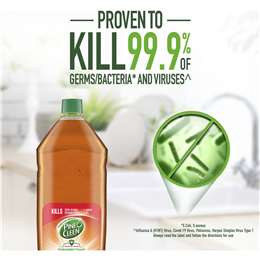 Pine O Cleen Antibacterial Liquid Disinfectant Pine