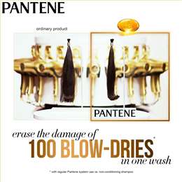 Pantene Pro-v Ultimate 10 Shampoo