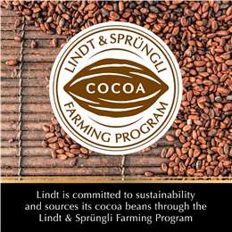 Lindt Excellence Dark Chocolate 70% Cocoa Block
