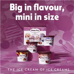 Haagen-dazs Fruit Collection Ice Cream Little Cups 4x95ml | Woolworths