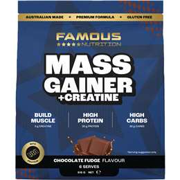 Famous Nutrition Sport Mass Gainer Powder High Protein Muscle Builder 510g