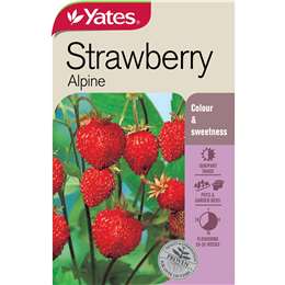 Yates each