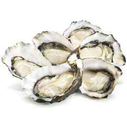 Fresh Pacific Oysters 12 pack