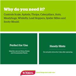 Yates Scale Gun Insect Pest Killer Ready Spray