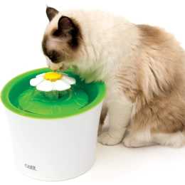 cat bowls woolworths