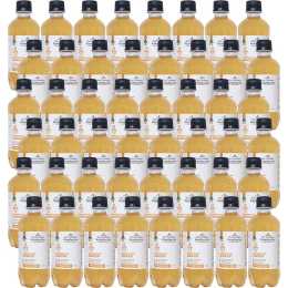 Tea Gardens Kombucha 350ml Ginger x 48 | Woolworths