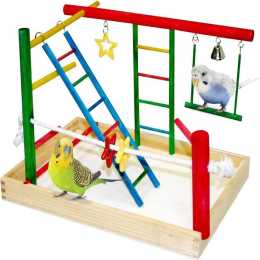 Bird play shop gym petbarn