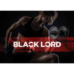 Black Lord  