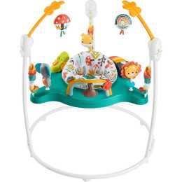 Notice jumperoo fisher hot sale price