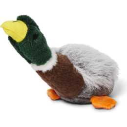 American classic mallard hot sale dog toy large