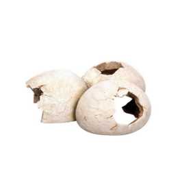 Aqua One Dinosaur Eggs Ornament 15.5x12.5x6cm (37385)
