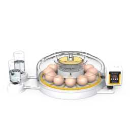 Automatic 12 Egg Incubator - Electric Digital Turning Chicken Quail Duck Hatching