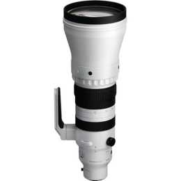 Sigma 300-600mm f/4 DG OS Sports Lens (Sony E)