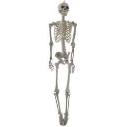 Life Size Hanging Skeleton Halloween Decoration