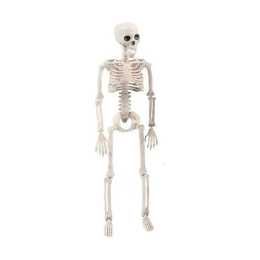 170cm Halloween Poseable Skeleton Full Life Size Human Skeleton Decoration