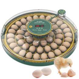 Advwin Automatic 52 Eggs Incubator Eggs Hatcher Auto Egg Turning