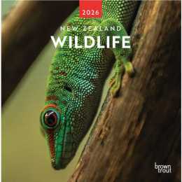2026 Calendar New Zealand Wildlife Square Wall, BrownTrout A06118