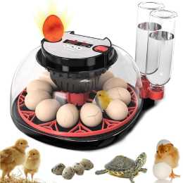 Advwin Automatic 12 Eggs Incubator with Egg Candler
