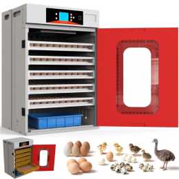 Advwin 400 Eggs Incubator Automatic Incubator for Hatching Eggs