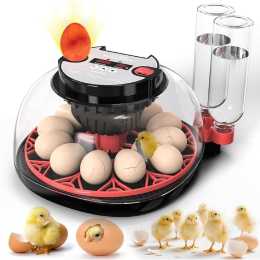 Advwin 12 Eggs Incubator with Egg Candler Automatic Egg Turning