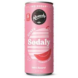 Remedy Sodaly Guava 24 x 250ml