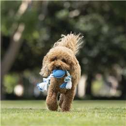 Total Care Dentarope Dog Toy 