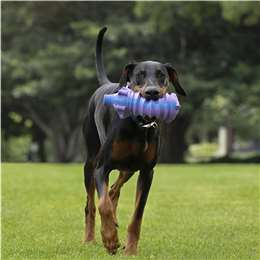 Purina Totalcare Stretchy Grunter Dog Toy Assorted