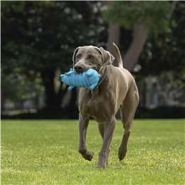 Purina Totalcare Stretchy Grunter Dog Toy Assorted