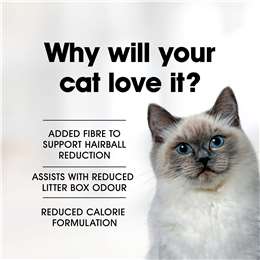 Fussy Cat Grain Free Adult Dry Cat Food Chicken & Oceanfish Indoor Cat