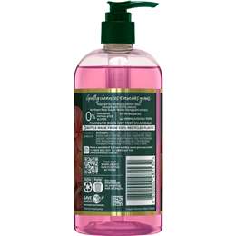 Palmolive Luminous Oils Liquid Hand Wash Coconut Oil & Frangipani