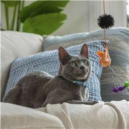 Purina Pom Pom Dangler For Cats