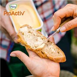 Flora Proactiv Margarine Spread Original