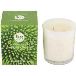Bx Earth Desert Lime & Coconut Candle
