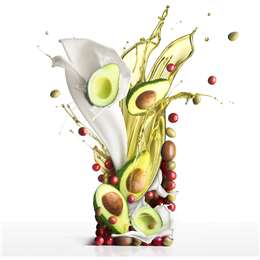 Garnier  