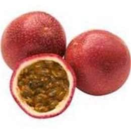Passionfruit Panama