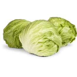 Organic Lettuce Iceberg Prepacked