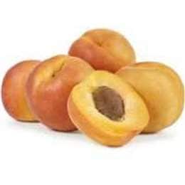 Apricot Fresh each