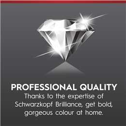 Schwarzkopf Brilliance Hair Colour 85 Violet Vision Each Woolworths