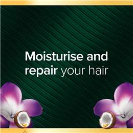 Palmolive Luminous Oils Coconut Oil & Frangipani Conditioner