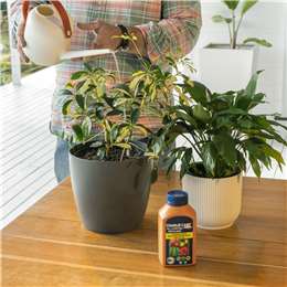 Charlie Carp Charlie Carp All Purpose Fertiliser