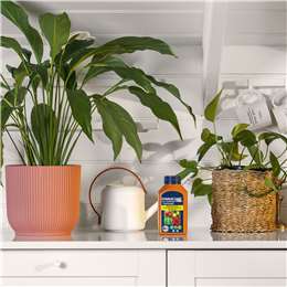 Charlie Carp Charlie Carp All Purpose Fertiliser