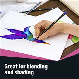 Bic Intensity Colouring Pencils 
