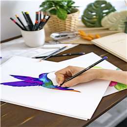 Bic Intensity Colouring Pencils 